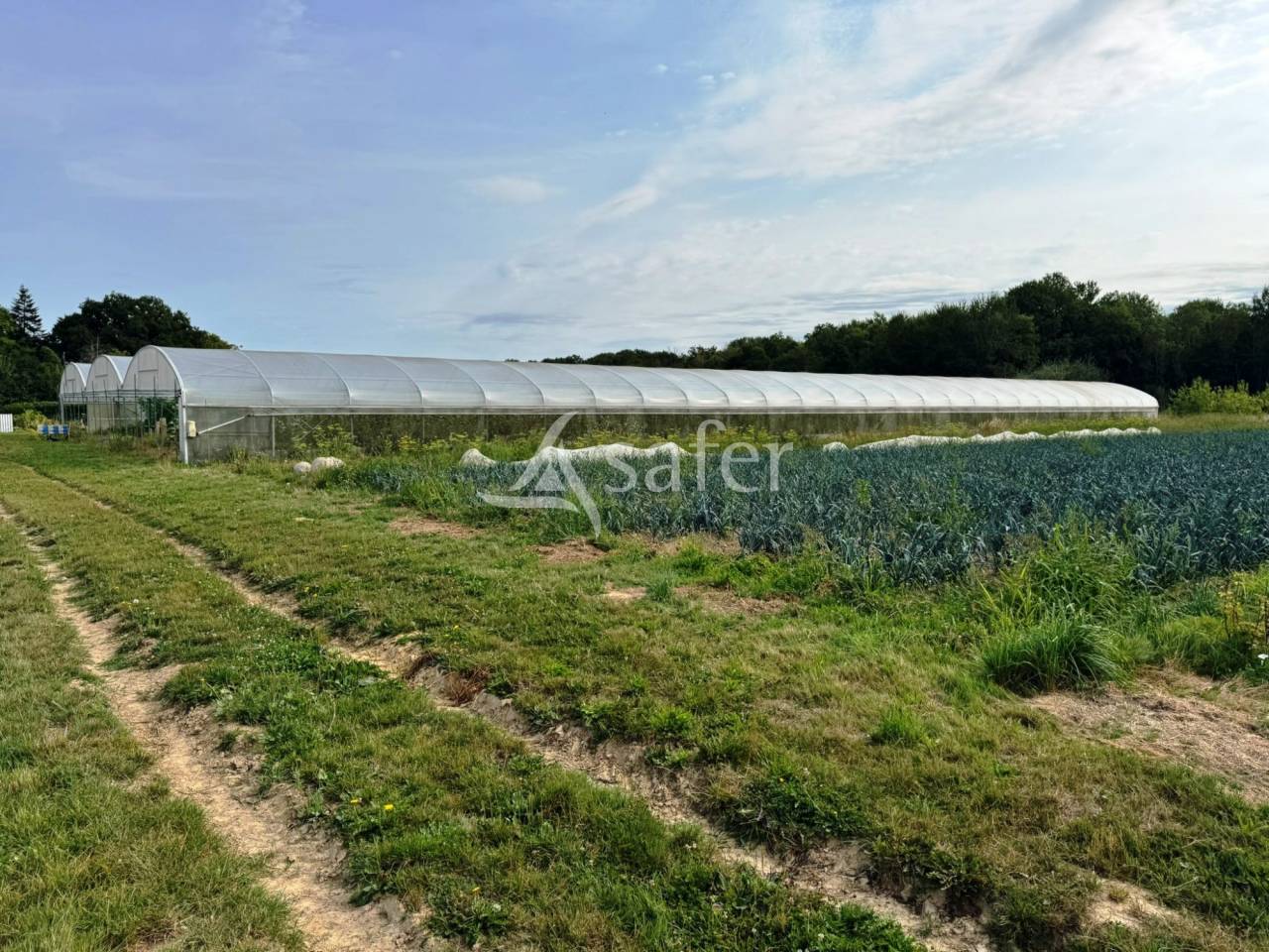 Exploitation Agricole