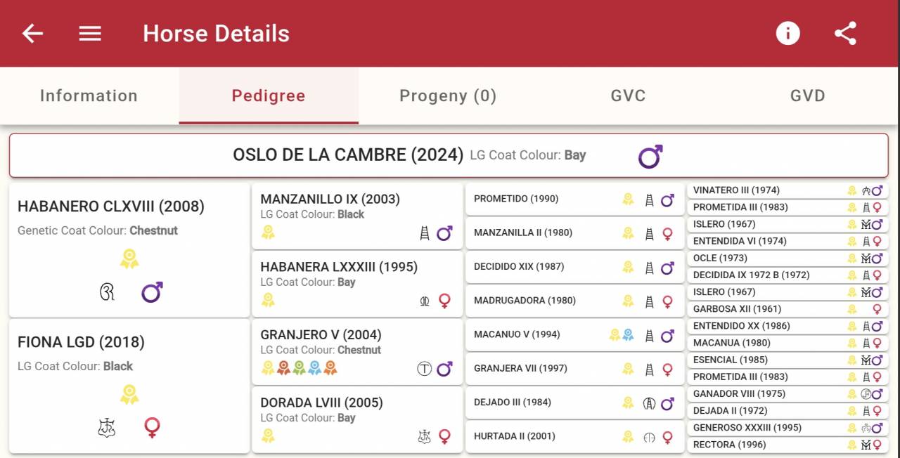 Magnifique PP PRE de 2024