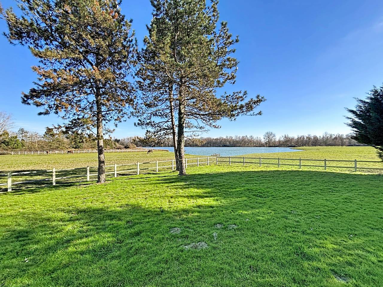 Domaine d'exception de 35 hectares (01)