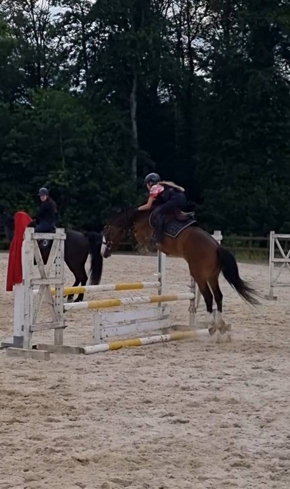 Ponette PFS taille C (140cm) n&eacute;e en 2020