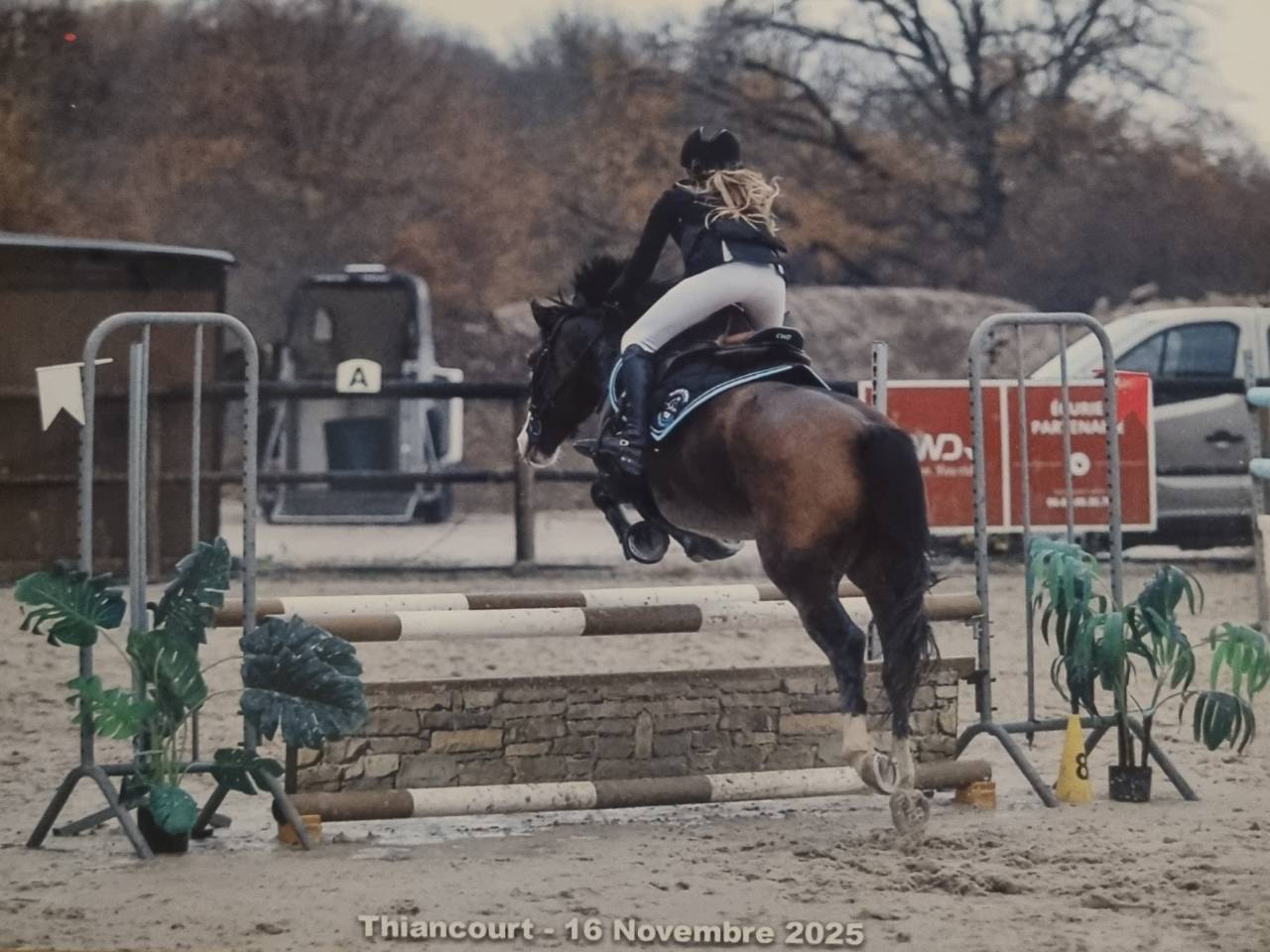 Ponette PFS taille C (140cm) n&eacute;e en 2020