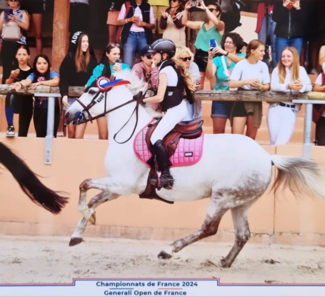 Ponette DSA, n&eacute;e en 2012, 144cm