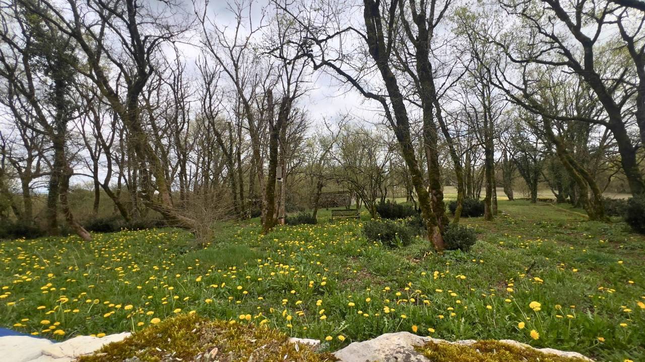 propri&eacute;t&eacute; de caract&egrave;re de 6,4 hectares - Lot (46)