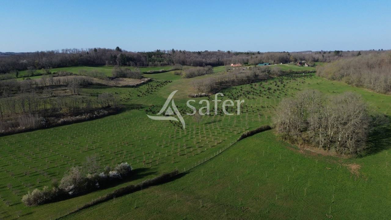 Tr&egrave;s belle propri&eacute;t&eacute; avec g&icirc;te, sur 54ha diversifi&eacute;s, avec