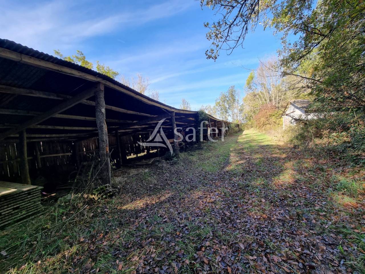 Ancien corps de ferme sur 11 ha au coeur du Quercy Blanc