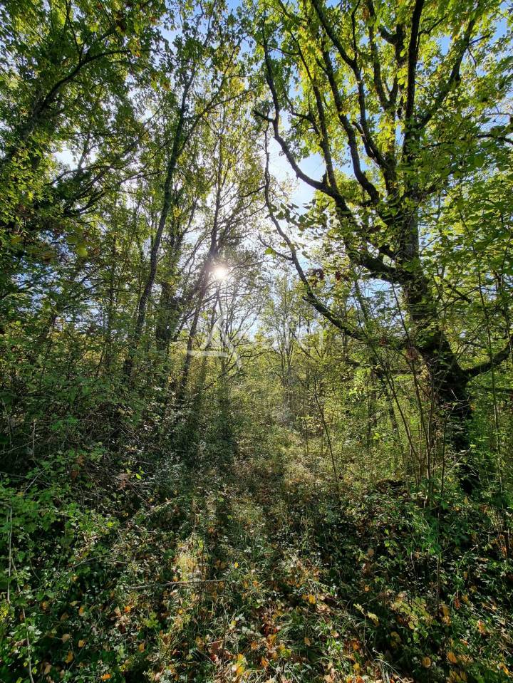 Ancien corps de ferme sur 11 ha au coeur du Quercy Blanc