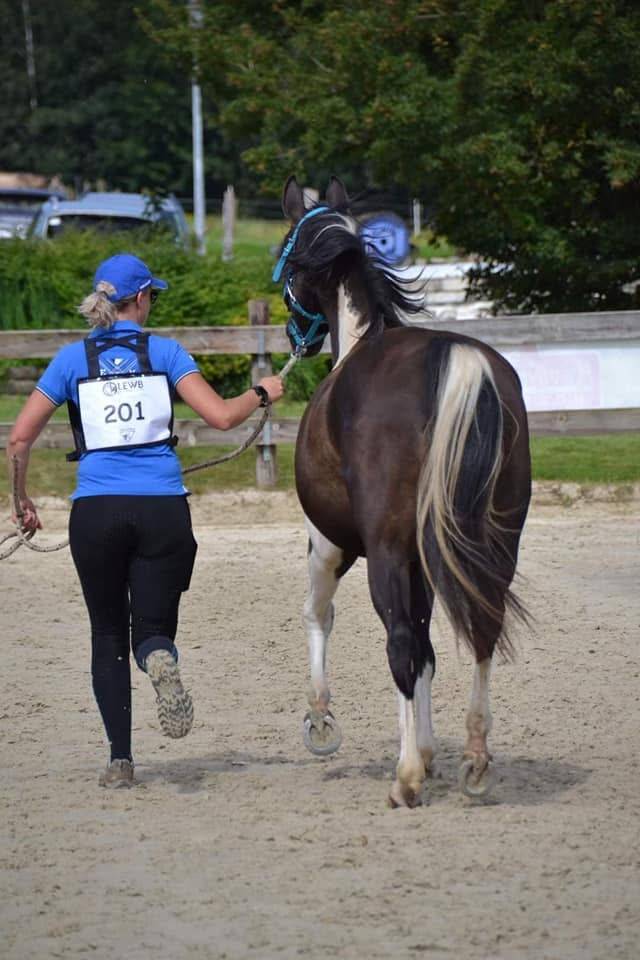 E.S HICERO   HONGRE DSA