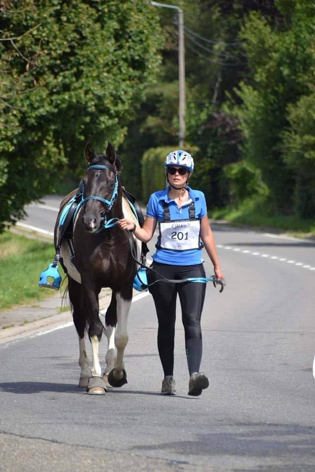 E.S HICERO   HONGRE DSA