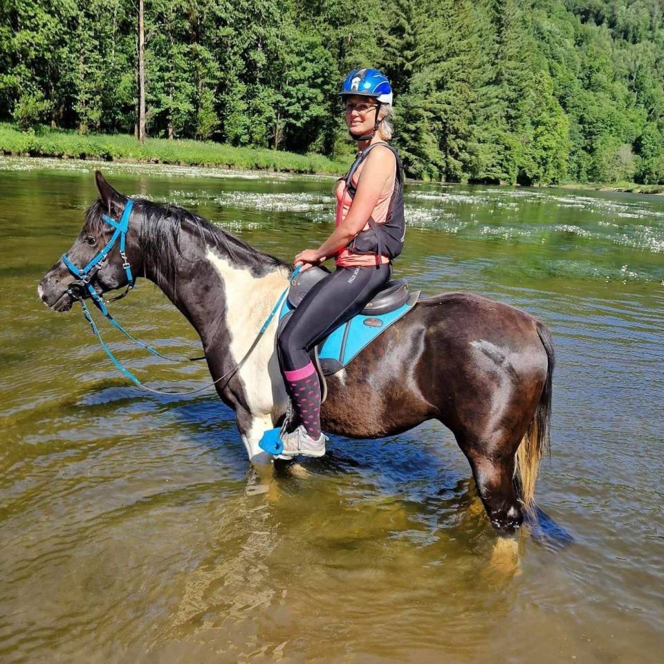 E.S HICERO   HONGRE DSA