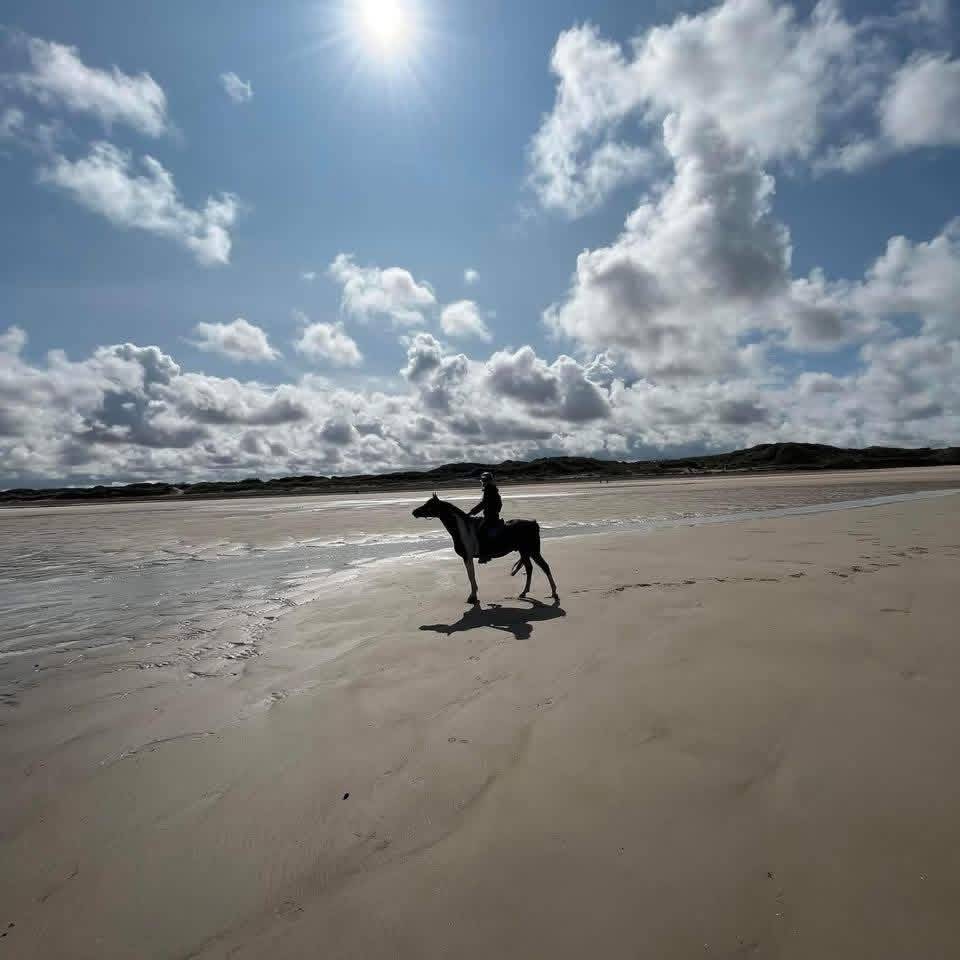 E.S HICERO   HONGRE DSA