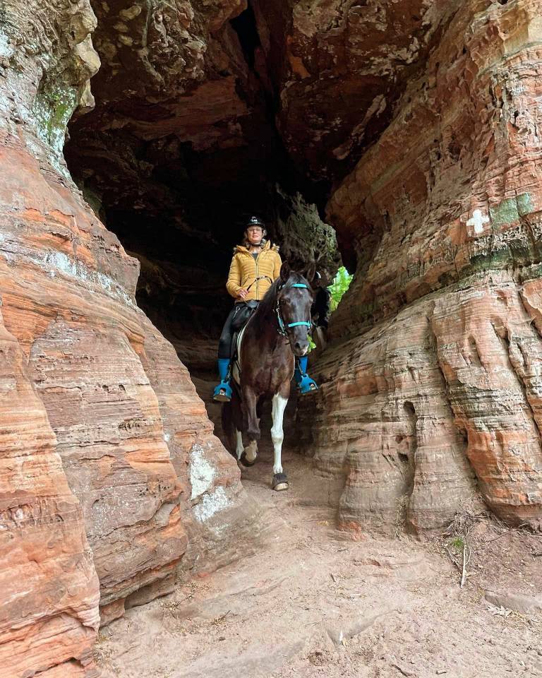 E.S HICERO   HONGRE DSA