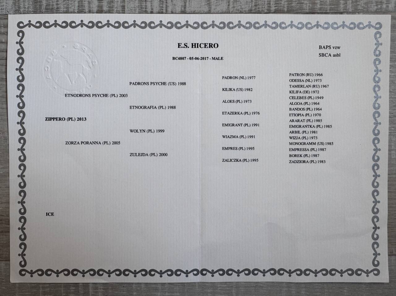 E.S HICERO   HONGRE DSA