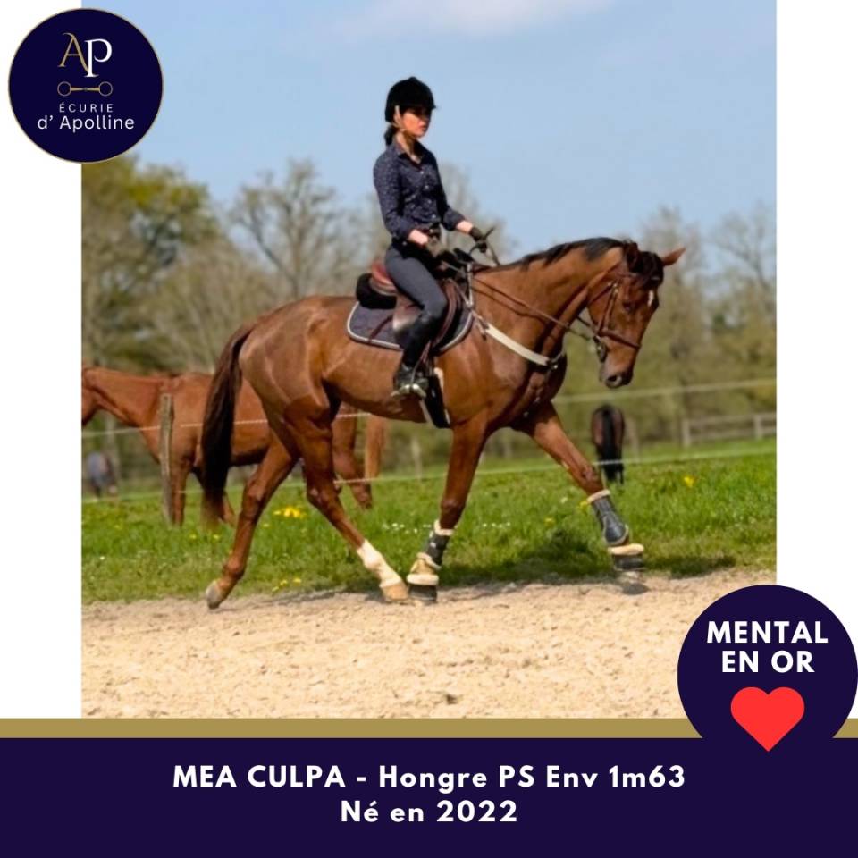 4 ans top mental et locoomotion plaisante