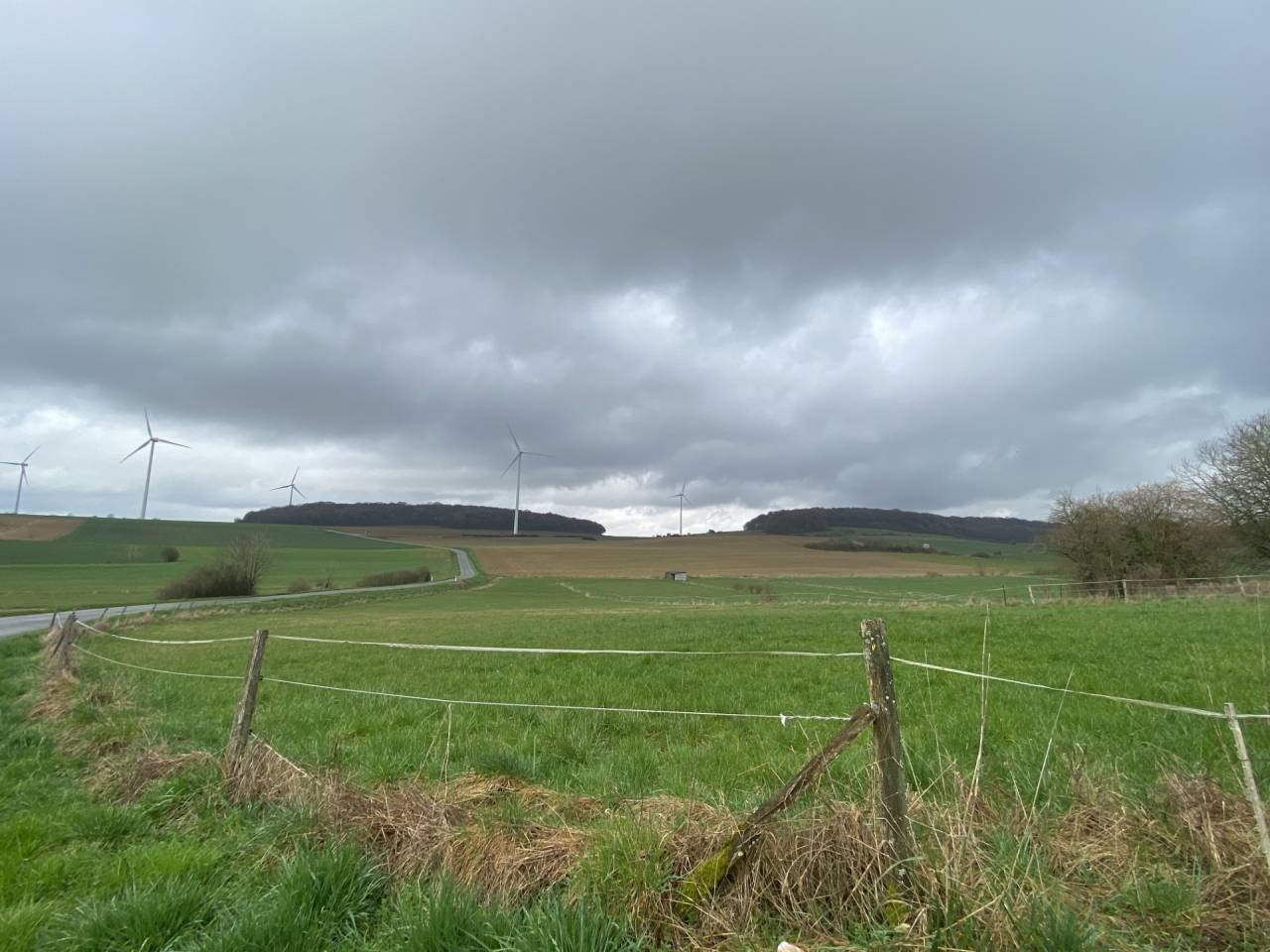Propri&eacute;t&eacute; &eacute;questre avec maison, grange et prairies 
