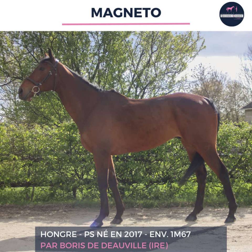 MAGNETO - PS - 9 ANS 