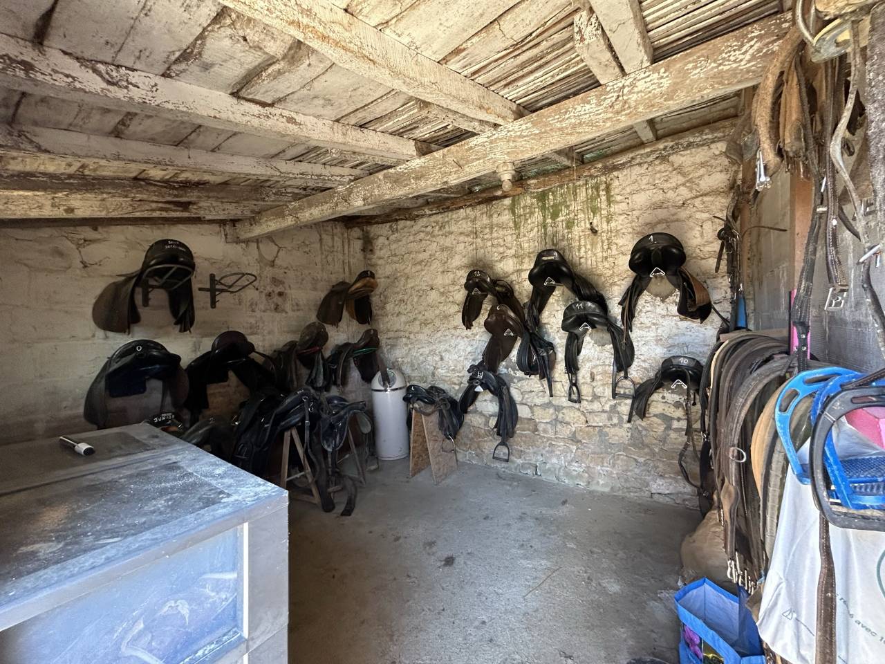 Domaine &eacute;questre sur 3 ha