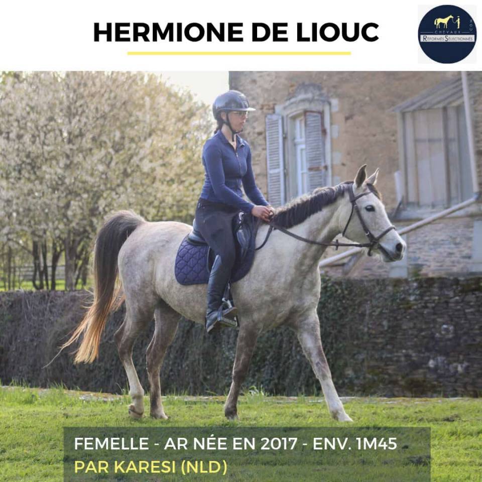 HERMIONE DE LIOUC - AR - 9 ANS 