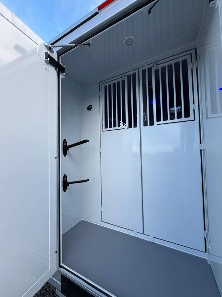 RENAULT MASTER TBST STALLE 5