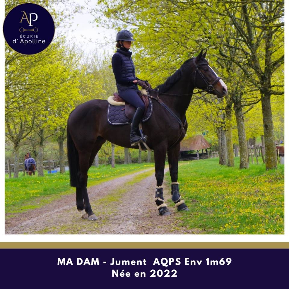 AQPS 4 ans magnifique mod&egrave;le env 1m69