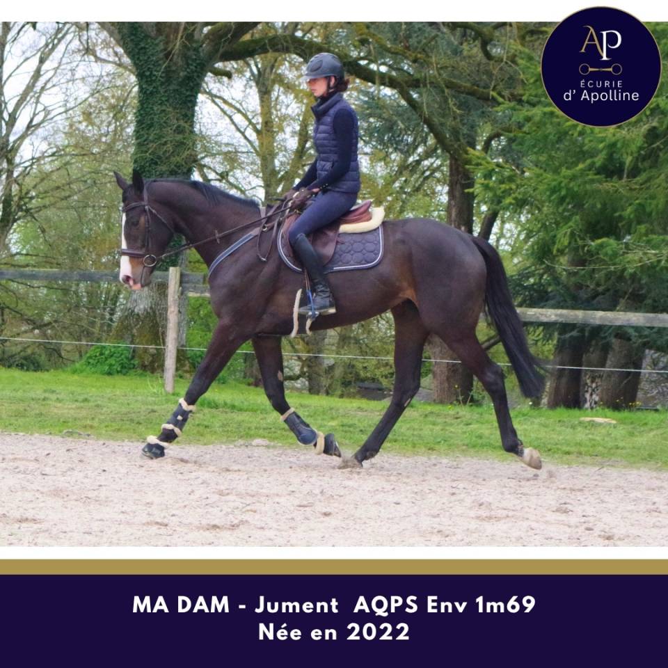 AQPS 4 ans magnifique mod&egrave;le env 1m69