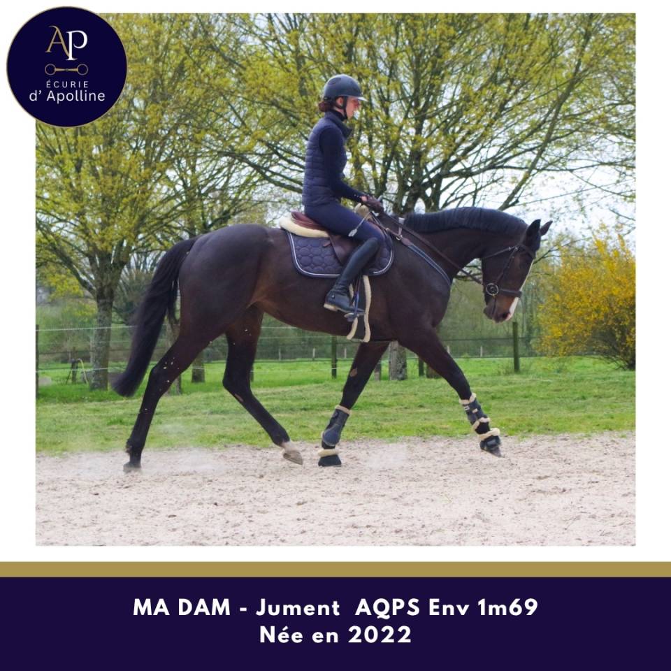 AQPS 4 ans magnifique mod&egrave;le env 1m69