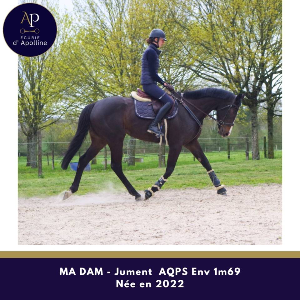 AQPS 4 ans magnifique mod&egrave;le env 1m69