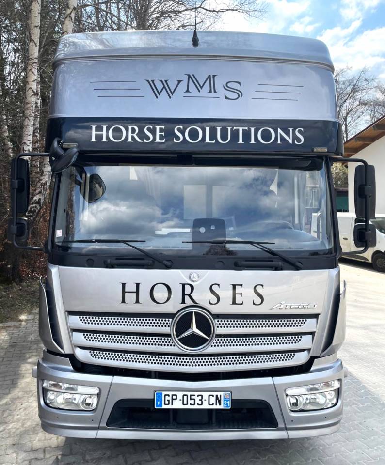 MERCEDES-BENZ ATEGO 1223 WMS POP OUT