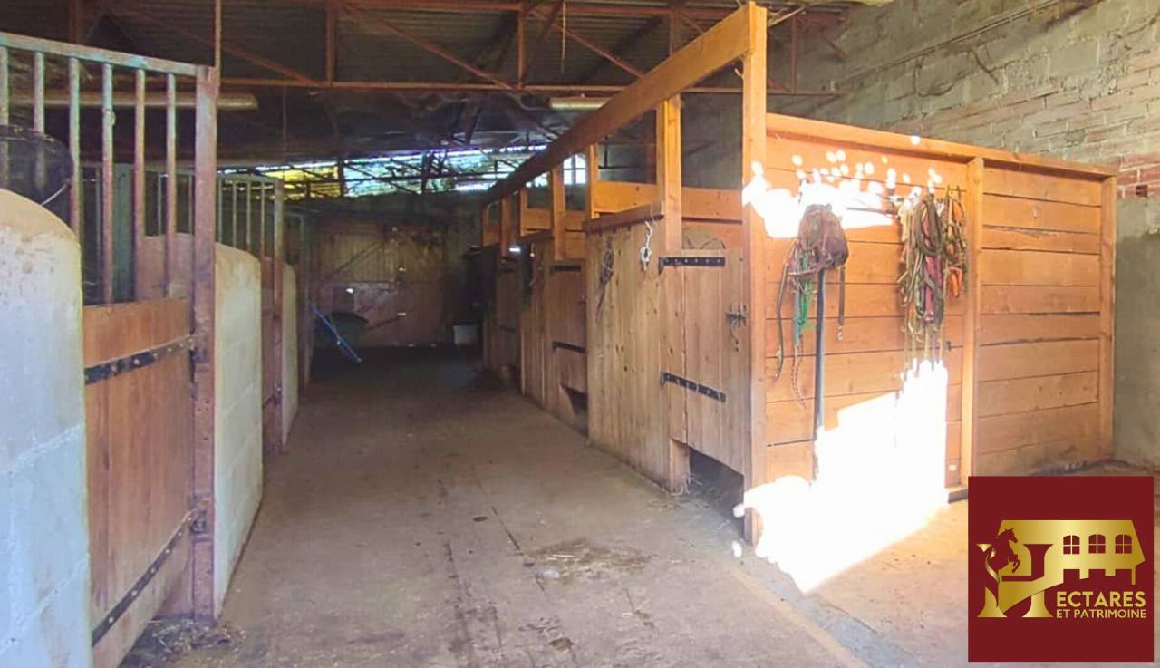 Propri&eacute;t&eacute; &eacute;questre 6,5 hectares attenants