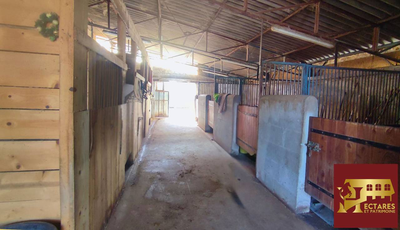 Propri&eacute;t&eacute; &eacute;questre 6,5 hectares attenants