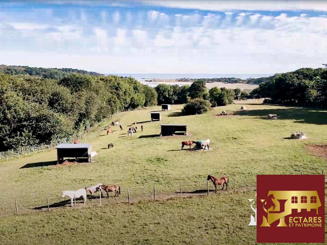 Centre &eacute;questre en activit&eacute; bord de mer