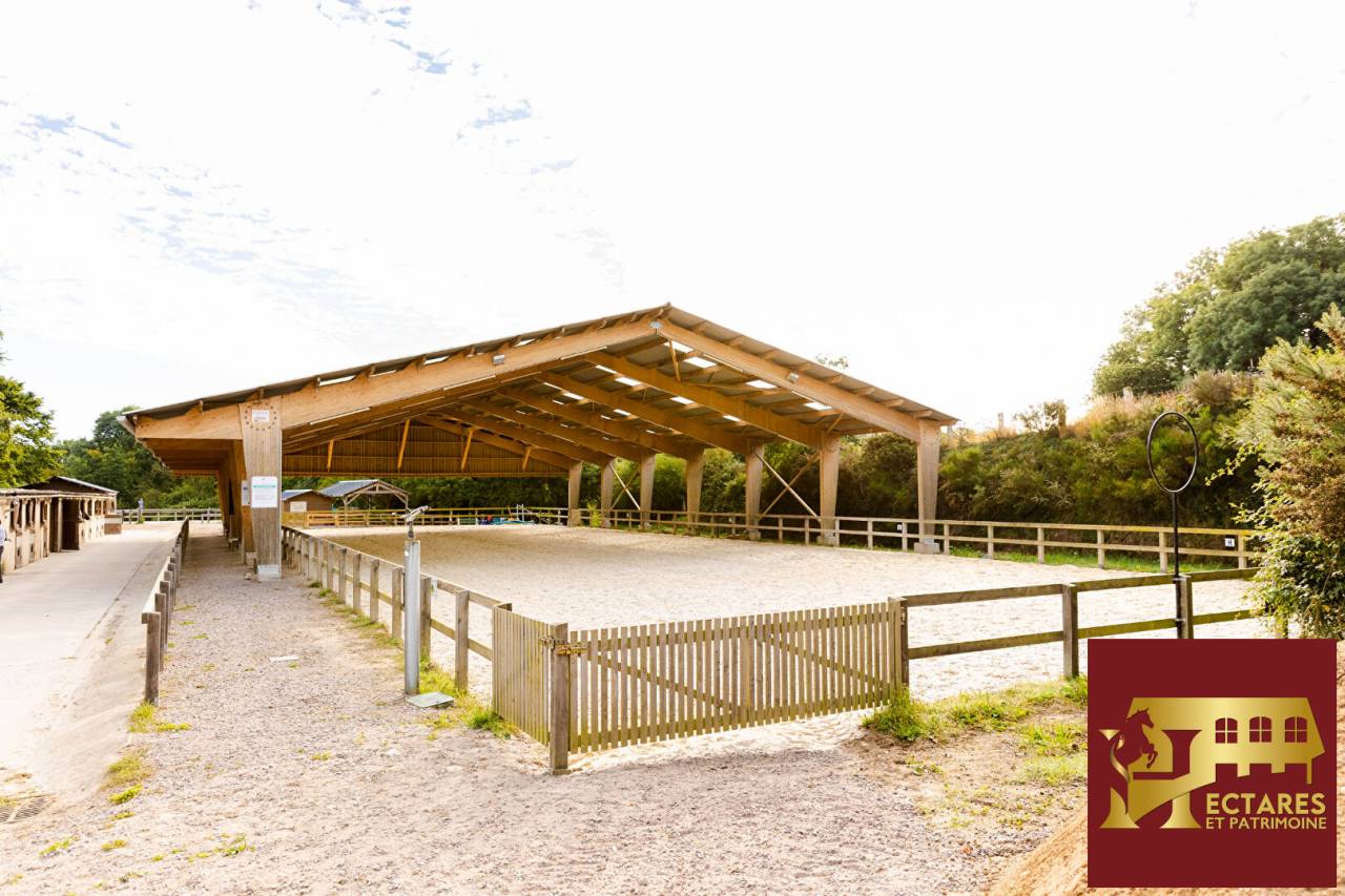 Centre &eacute;questre en activit&eacute; bord de mer