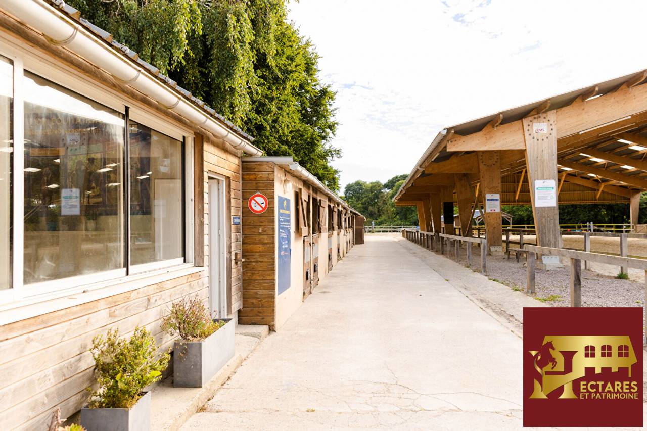 Centre &eacute;questre en activit&eacute; bord de mer