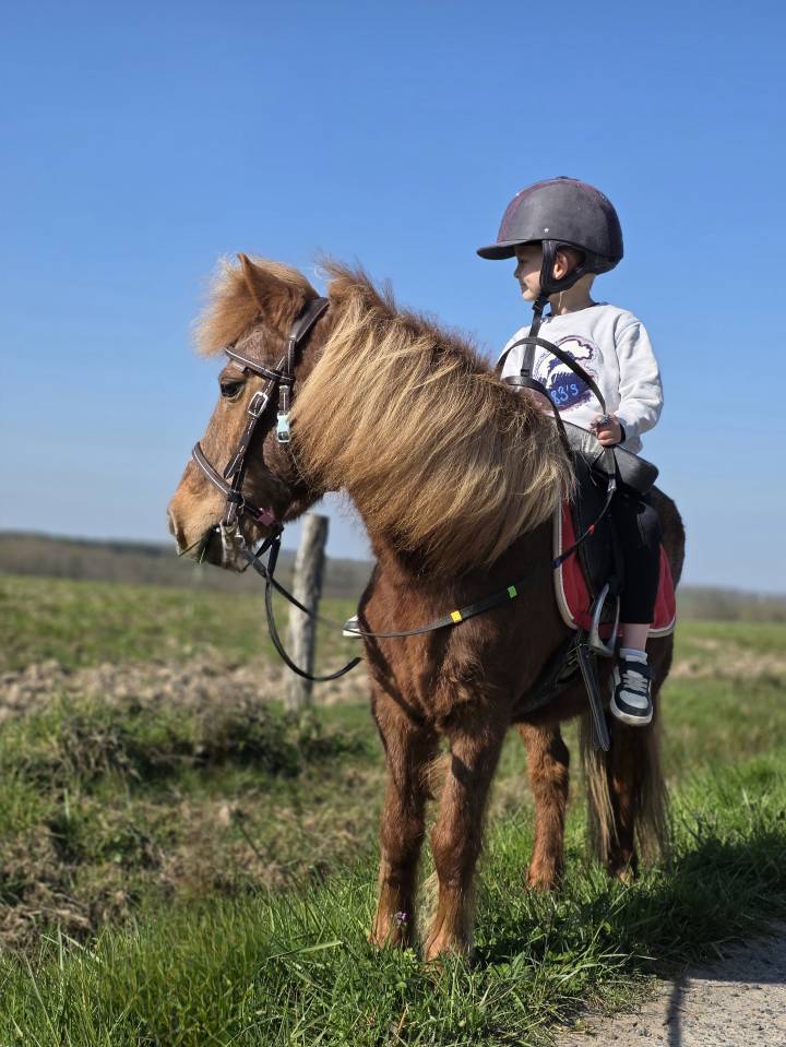 Ponette de confiance et d'exp&eacute;rience 