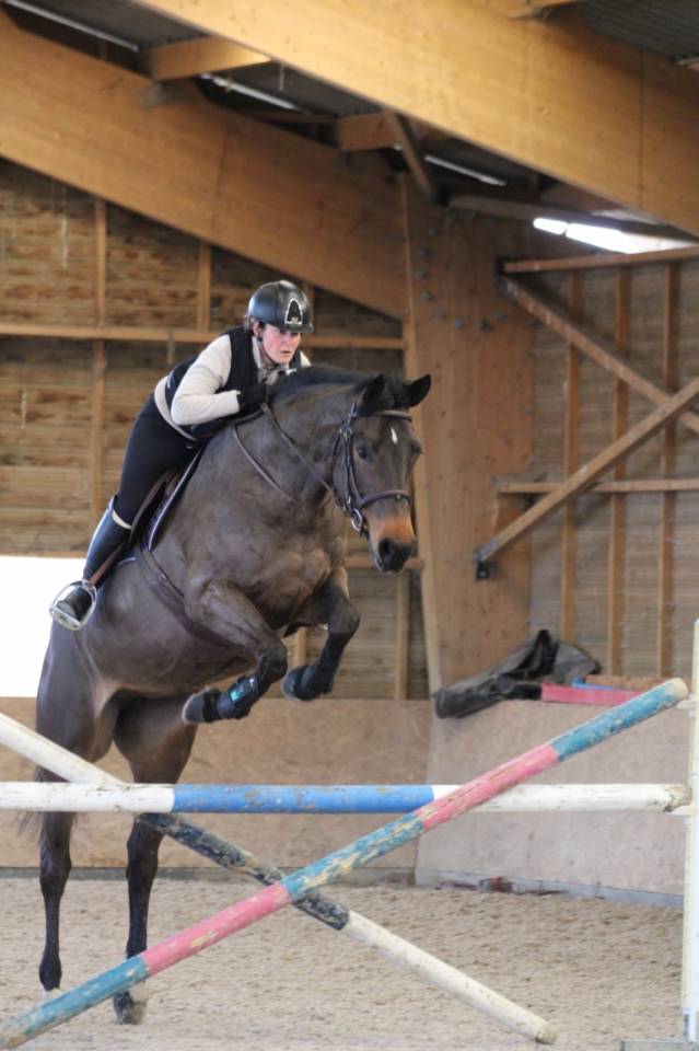 A vendre poulini&egrave;re 10 ans pleine de dollar du rouet