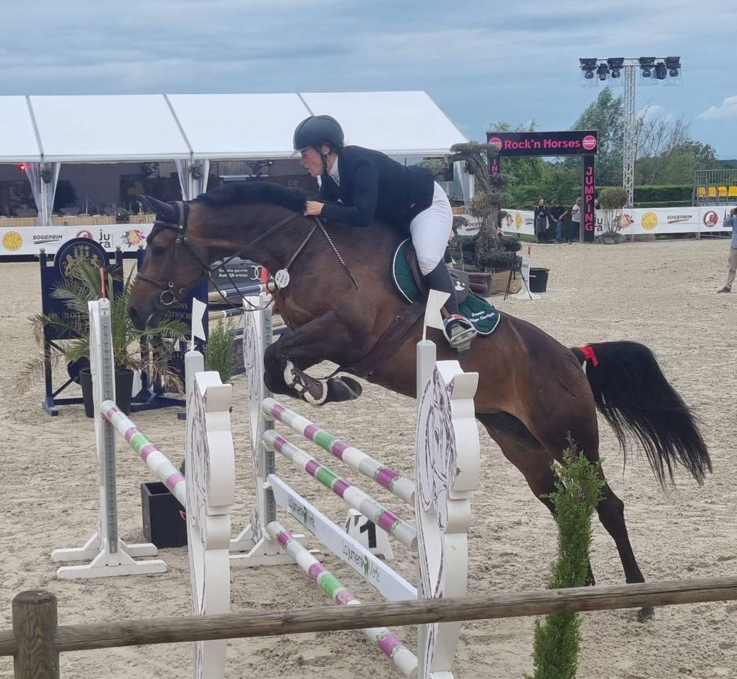 A vendre poulini&egrave;re 10 ans pleine de dollar du rouet