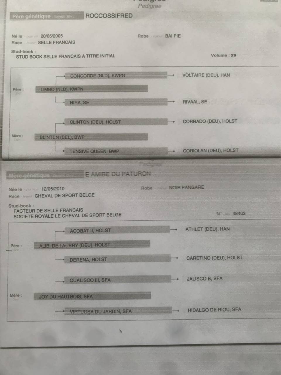 A vendre poulini&egrave;re 10 ans pleine de dollar du rouet
