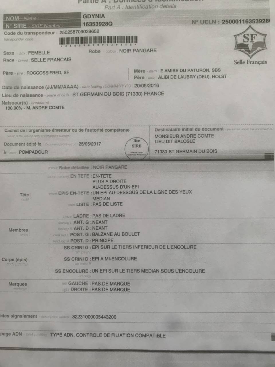 A vendre poulini&egrave;re 10 ans pleine de dollar du rouet