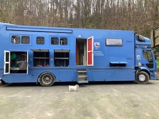  RENAULT 44HH1 BTE AUTO  5 CHEVAUX  AVEC APPART PUP OUT