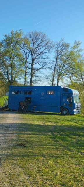  RENAULT 44HH1 BTE AUTO  5 CHEVAUX  AVEC APPART PUP OUT