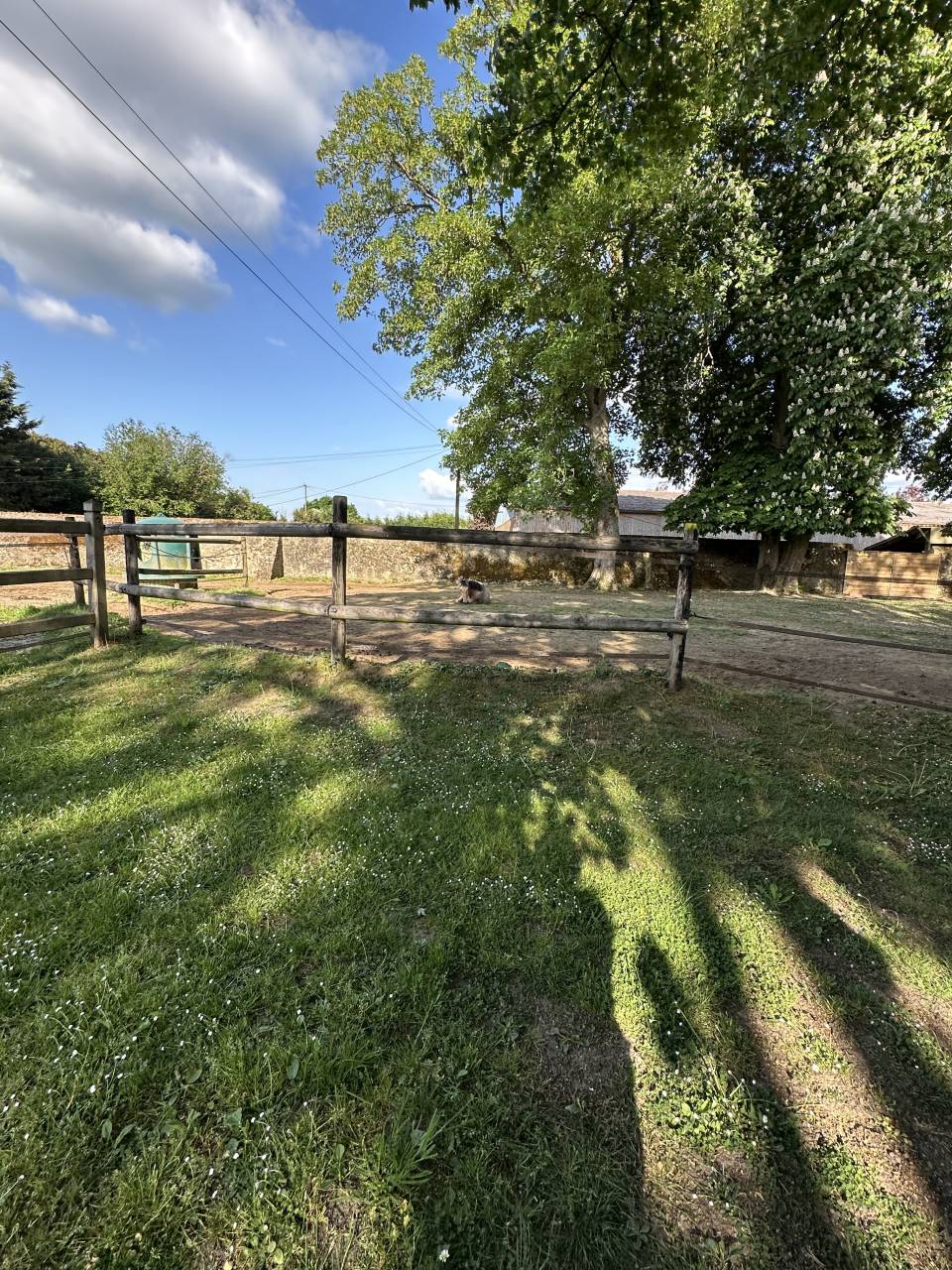 Belle propri&eacute;t&eacute; &eacute;questre + G&icirc;tes