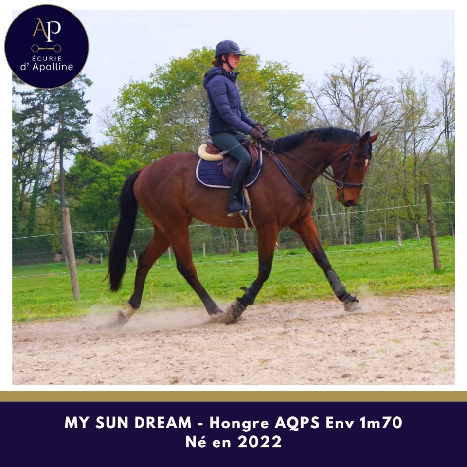 AQPS 4 ans env 1m70