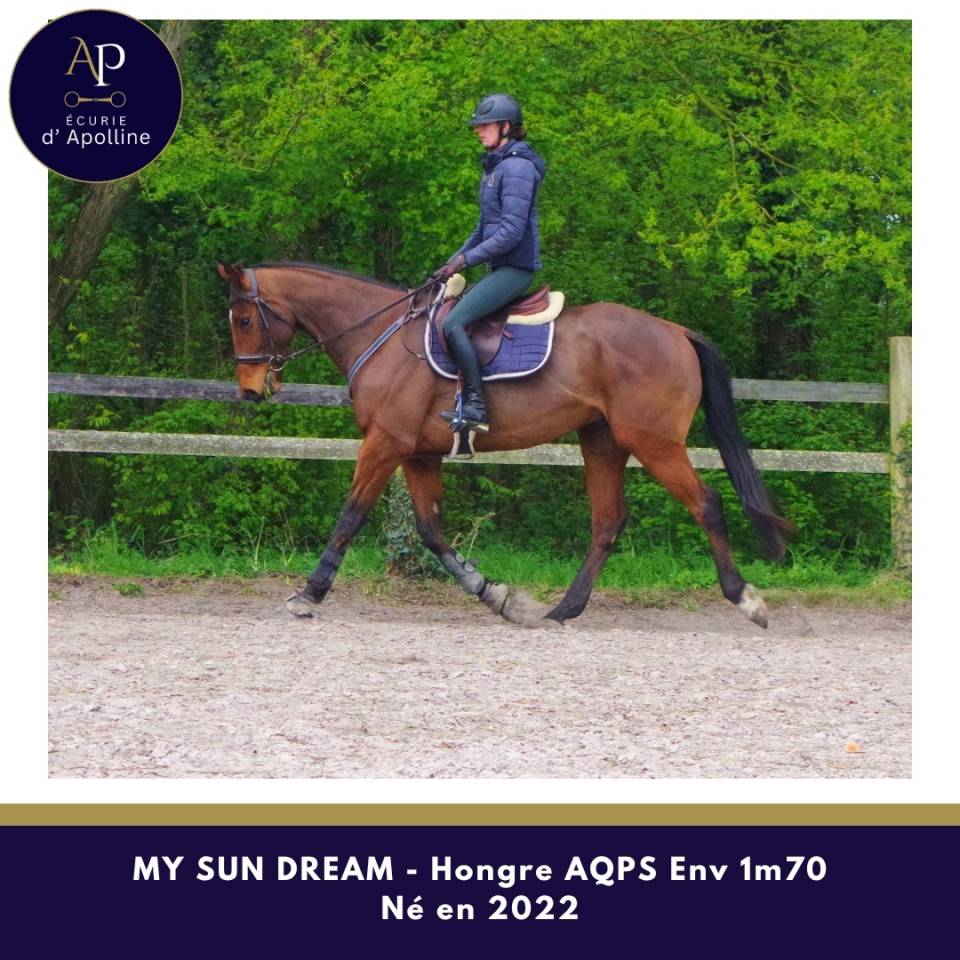 AQPS 4 ans env 1m70