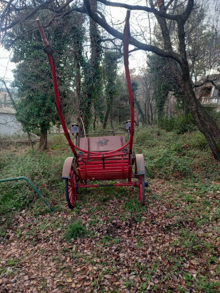 Cal&egrave;che dresseuse