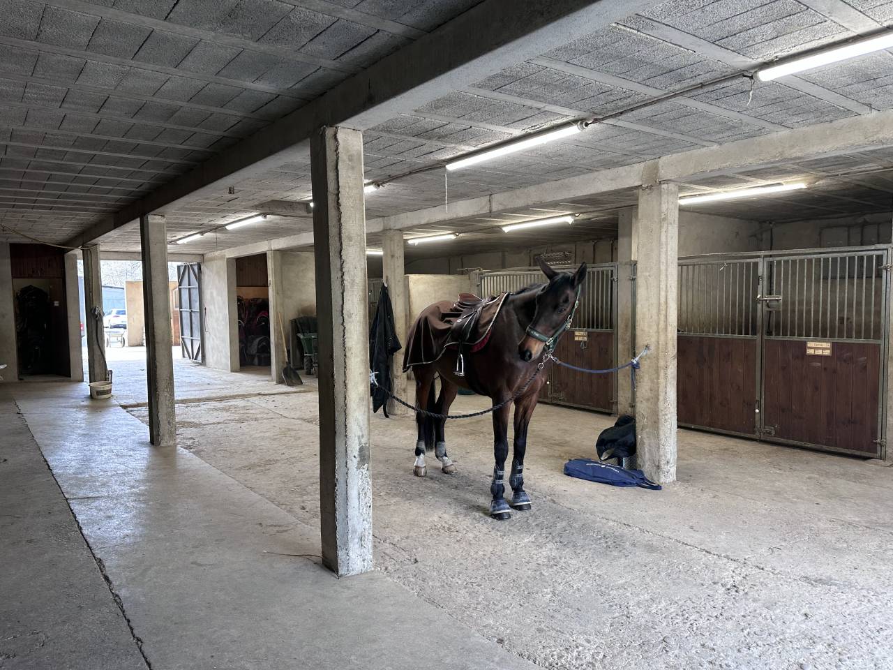 DOMAINE EQUESTRE EN ACTIVITE SUR 9,5 HA - Drome (26)