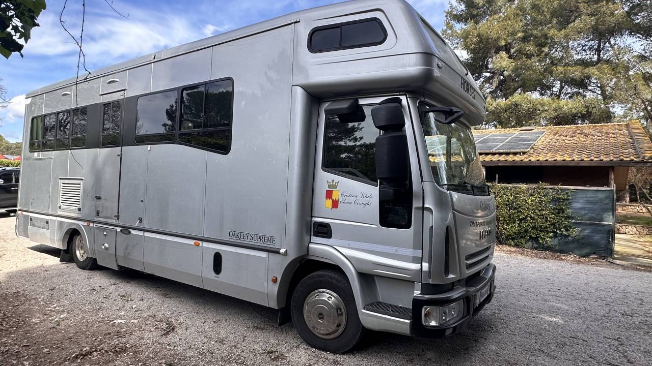 Camion VL Chevaux Oakley IVECO  2005 Occasion