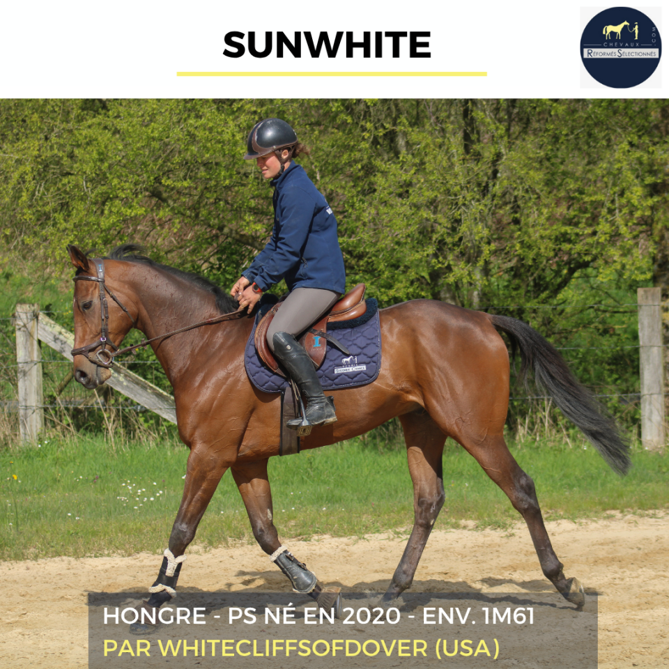 SUNWHITE - PS - 6 ANS 