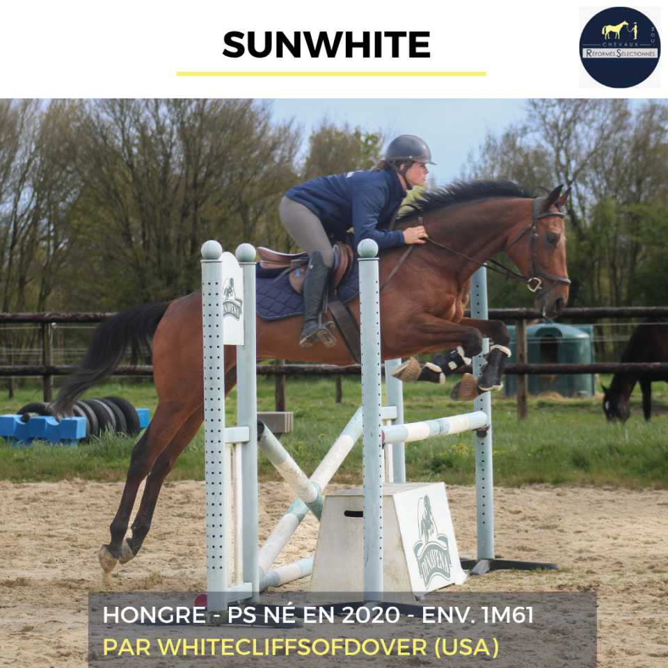 SUNWHITE - PS - 6 ANS 