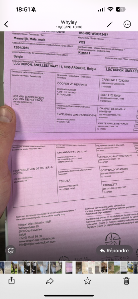 SUPERBE HONGRE MA&Icirc;TRE D &Eacute;COLE 