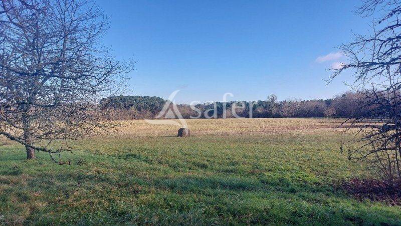 Secteur BAZAS: maison traditionnelle, grange et foncier attenant