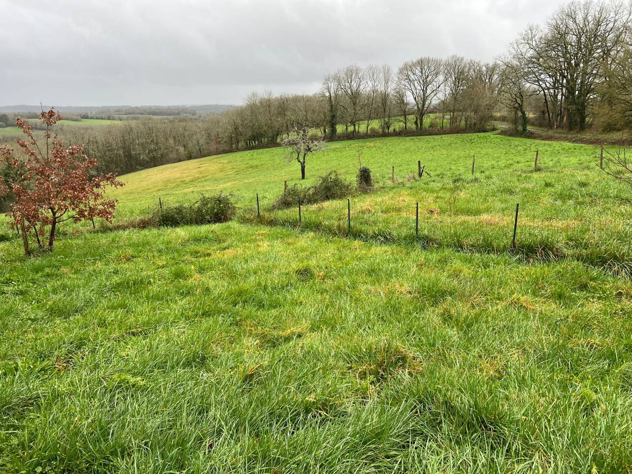 Propri&eacute;t&eacute; &agrave; fort potentiel &eacute;questre - P&eacute;rigord (24)
